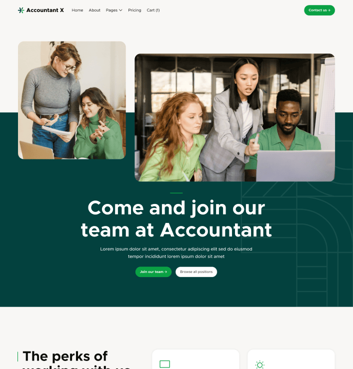 Accountant X - Careers Main Page - Accountant Modern Website Template