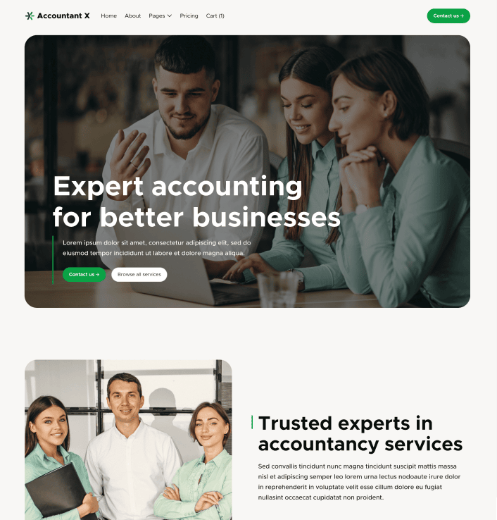 Accountant X - Home V1 Main Page - Accountant Modern Website Template