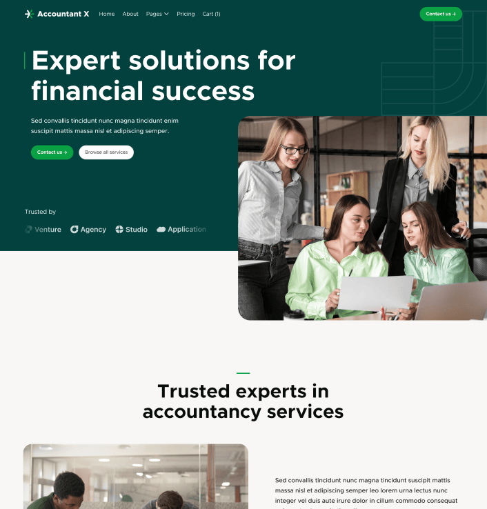 Accountant X - Home V2 Main Page - Accountant Modern Website Template
