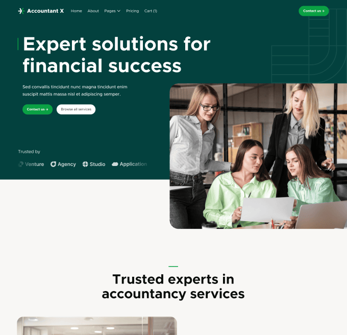 Accountant X - Home V2 Page - Accountant Modern Website Template