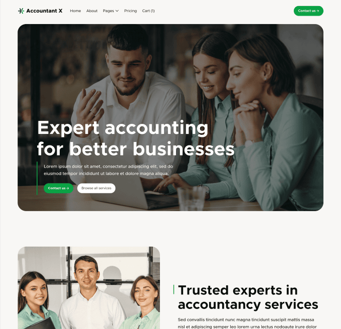 Accountant X - Home V1 Page - Accountant Modern Website Template